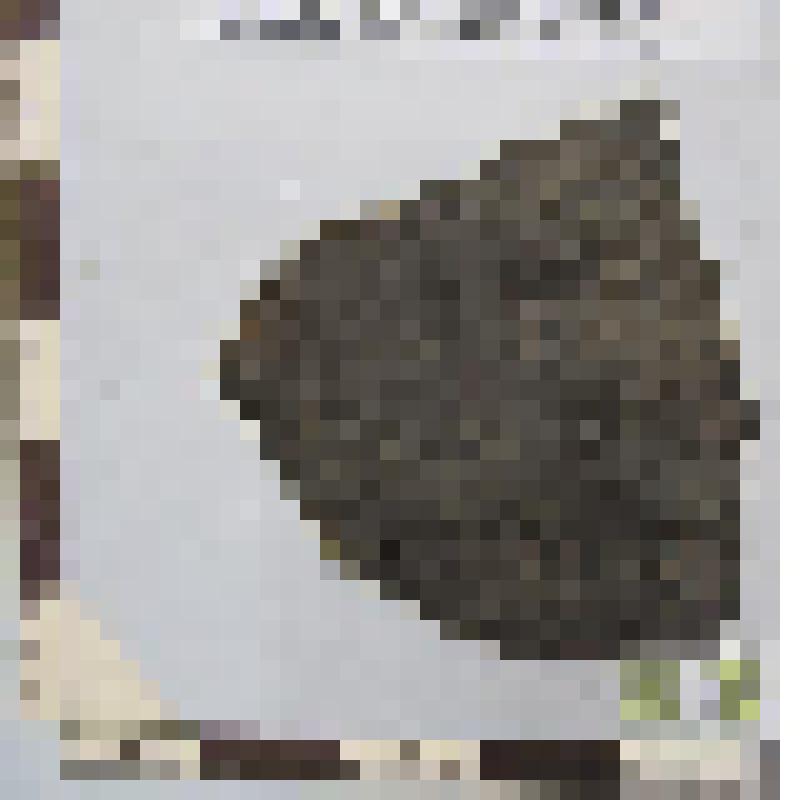 Стенки сосуда темно-серого цвета фрагмент