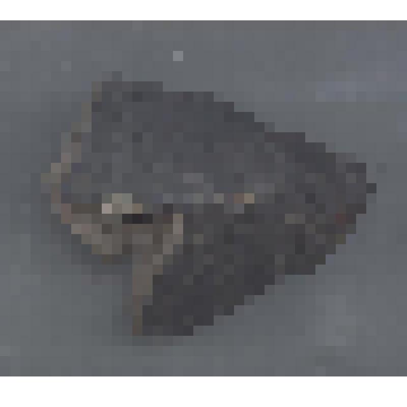 Сосуда белоглиняного донца фрагмент