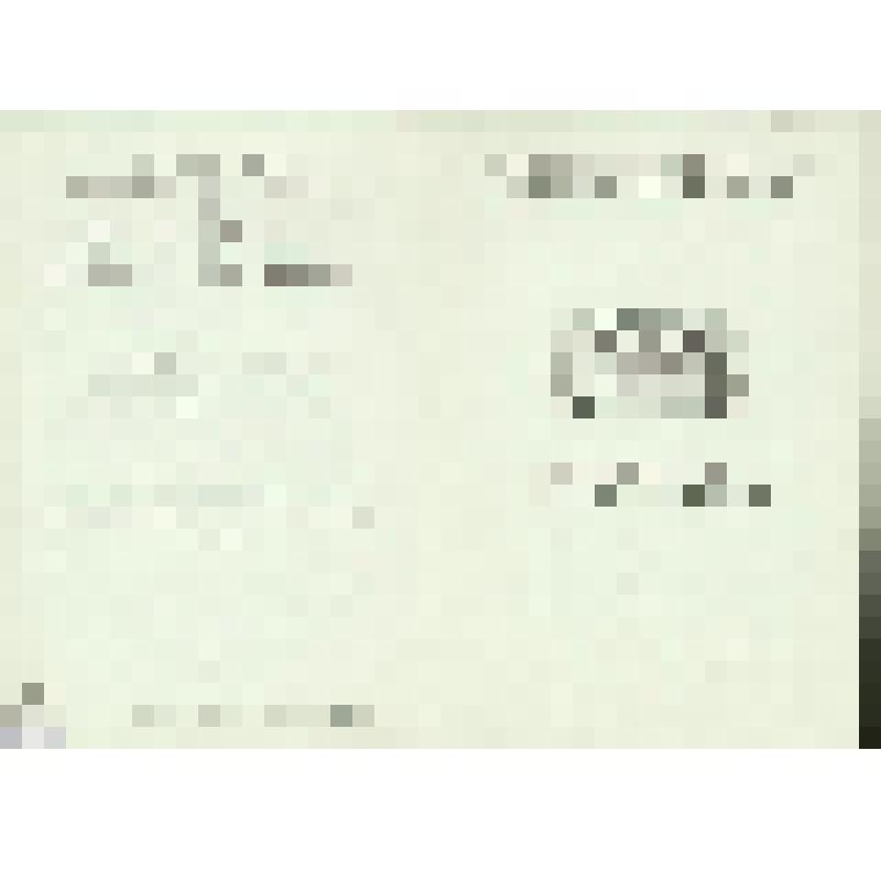 Программа. "Иван Сусанин" (Редакция - Пазовский А.М. и Баратов Л.В. Дирижер - Небольсин В.В. Режиссер - Баратов Л.В. Художник - Вильямс П.В.). Москва, Государственный академический Большой театр СССР