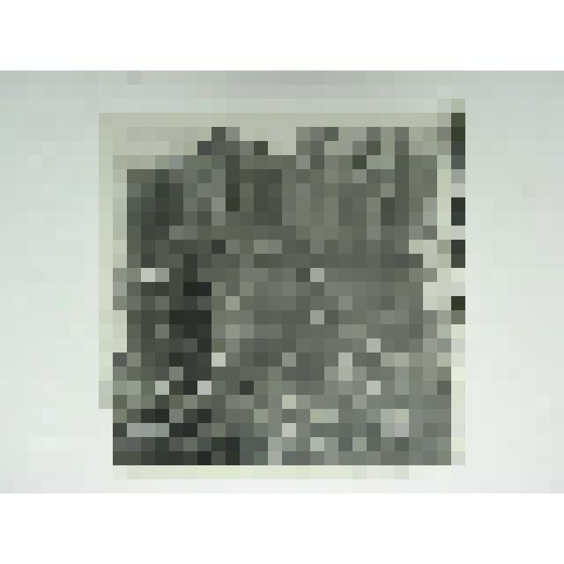 Дом Беспаловых. Ул. Дзержинского, 39. сер. XIX в. Челябинская  обл., г. Карабаш, пос. Южный (с.Саймоновское). Дом Беспаловых. Ул. Дзержинского, 39. сер. XIX в. Крыльцо дворового фасада