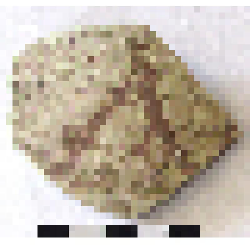 Фрагмент тулова амфоры типа D с дипинто