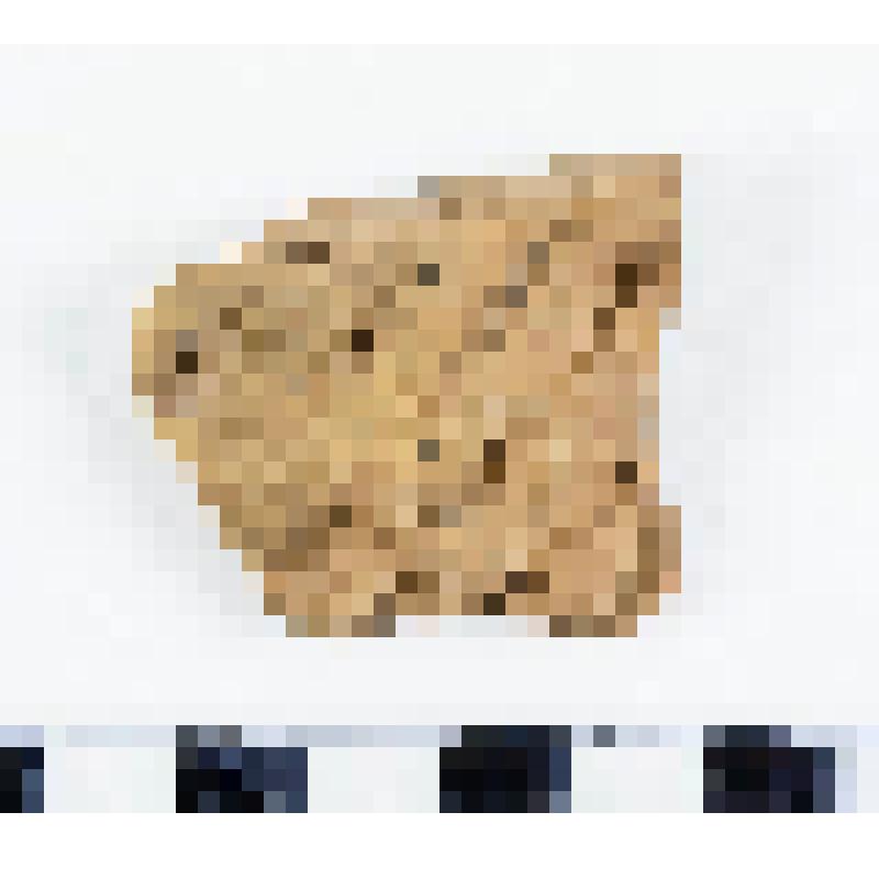 Керамика асбестовая, фрагмент венчика сосуда