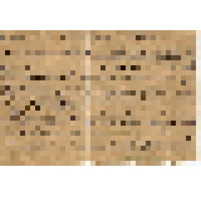 Предписание члена рабочей Аткарской бригады, переданное в с. Озерки по вопросу организации работы по коллективизации в Вязовском р-не