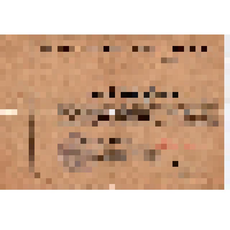 Мандат о командировании в Астрахань и распоряжение об ускорении выпуска судов из ремонта для нефтеперевозок