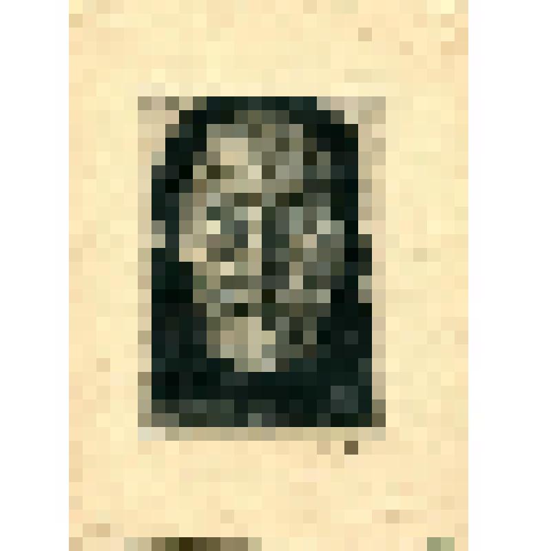 "Голова старухи". Гравюра