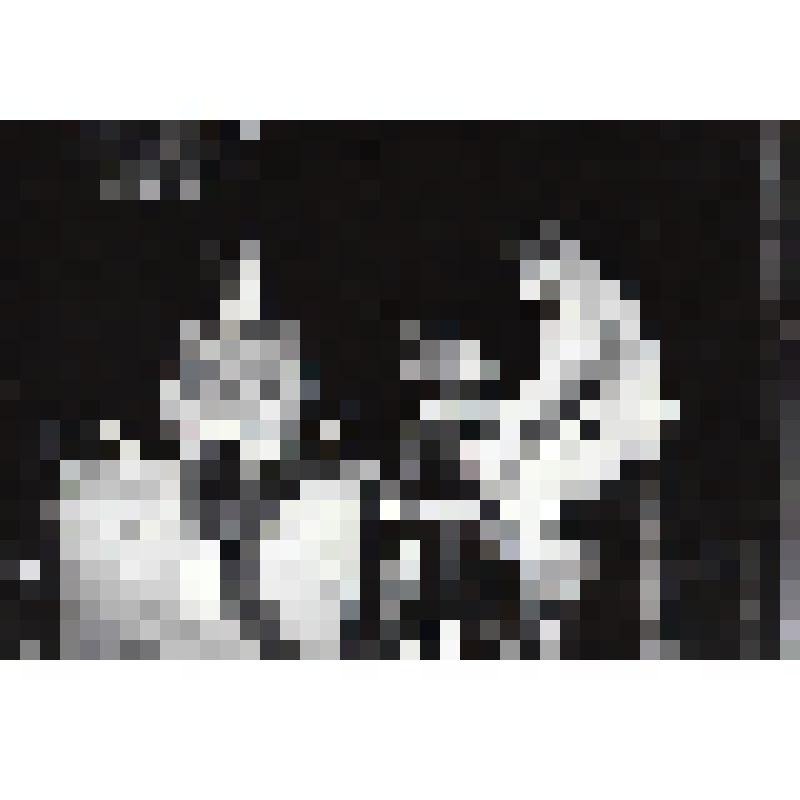 Фотография. Двойник Принца - Райво Адлас, сидит на столе, Дворцовая Золушка - Биржет Эренберг, сидит на стуле, Хозяин - Кулно Сювален, сидит около Золушки на столе. "Игра в Золушки" (реж. Э. Хермакюла.). Эстония, Тарту. Государственный академический театр