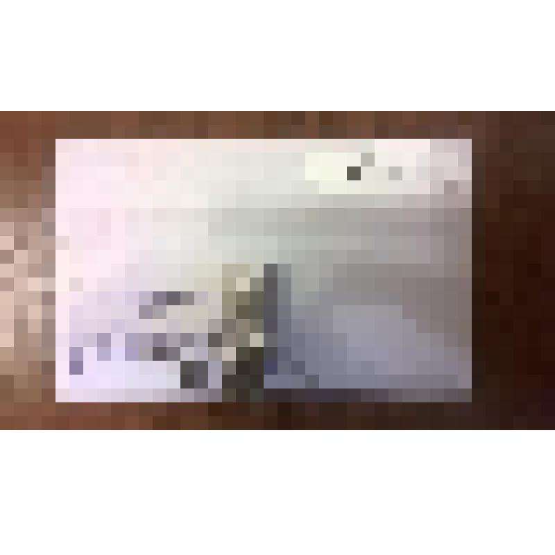 Документ. Визитка участника Московского международного теннисного турнира Равных возможностей