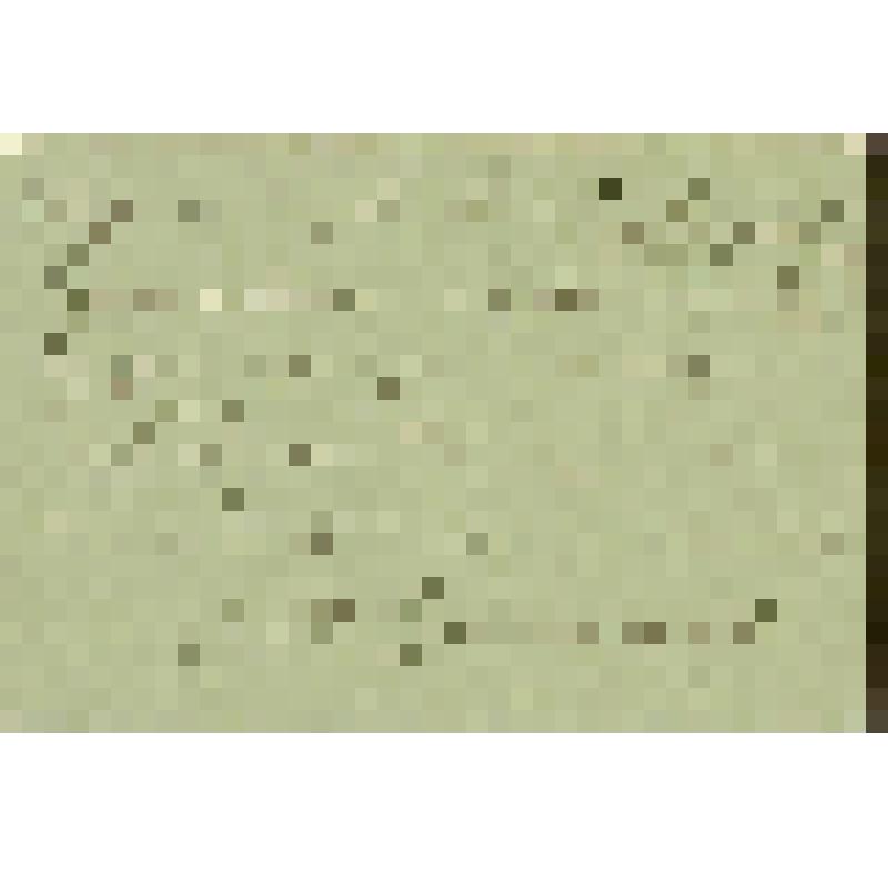 Ермолова Мария Николаевна (актриса). Записка Кондратьеву Алексею Михайловичу с просьбой разрешить выдать ей суфлерский экземпляр пьесы "Родина" ("Отчий дом") Г.Зудермана. Подпись-автограф. "Отчий Дом" ("Родина")