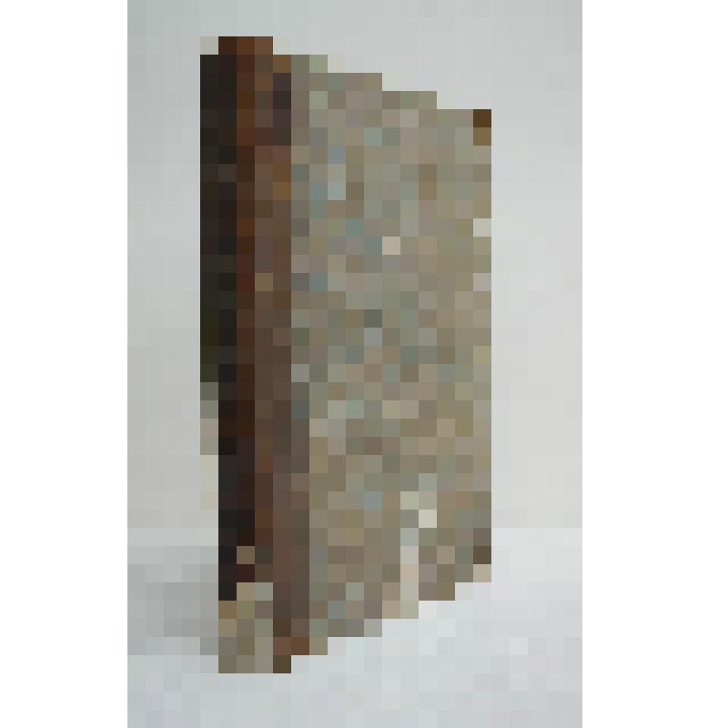 Книга. Маяк, журнал современного просвещения... Т.XXII. СПб., тип. Конрада Вингебера,1845