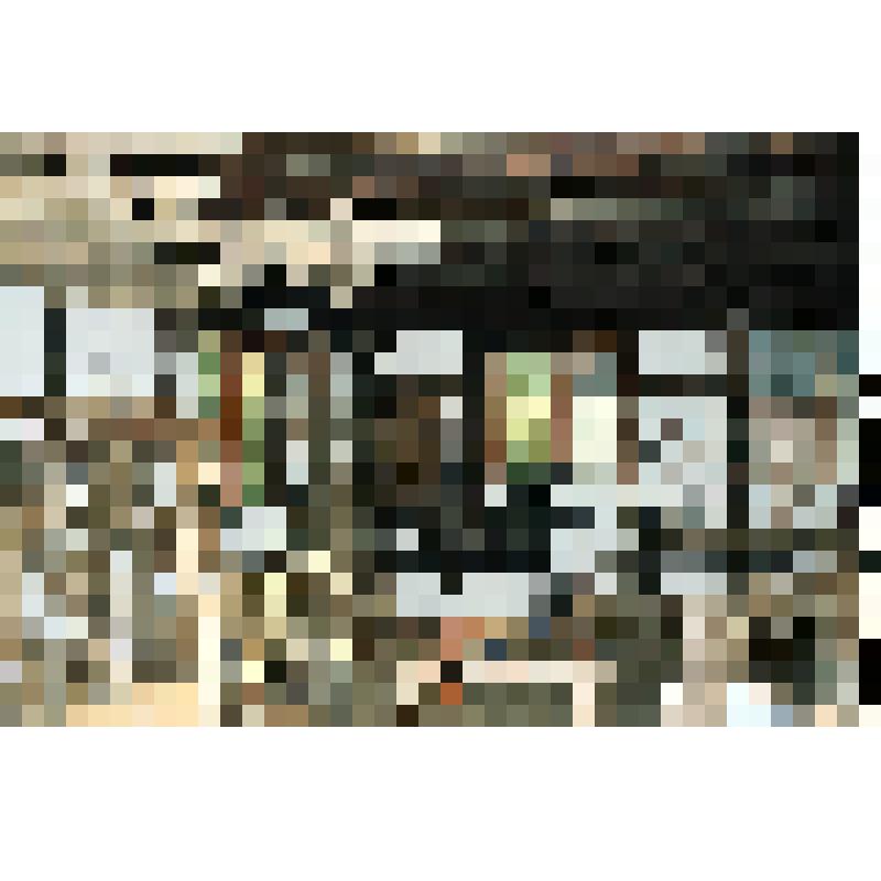 Фотоотпечаток. Рундлинг Любельн. Музейные здания. Экспозиция каретной мастерской. Немцы