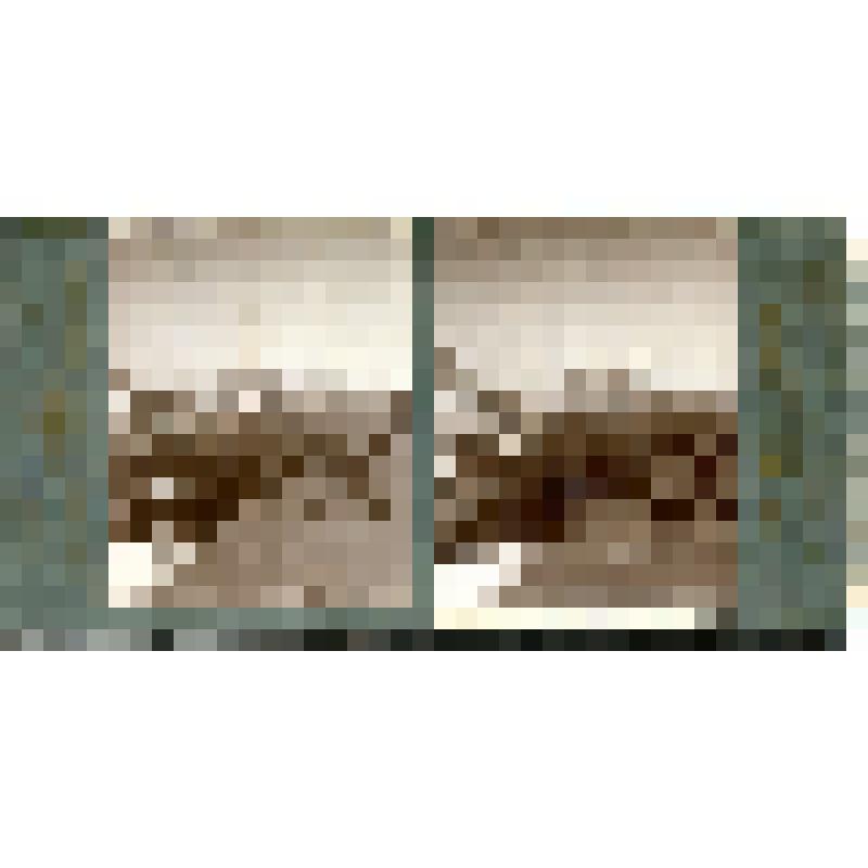 Карточка для стереоскопа «Вид с пер. гл. Кавказского хр. Чипер-Азау на ущ. р. Ненскры (в Сванетии); гора Штавлер 13075 ф. н. у. м.». Из коллекции «Кавказ» с видами природы Западного Кавказа, серии 3-№20. Фото Н.Л. Минервина