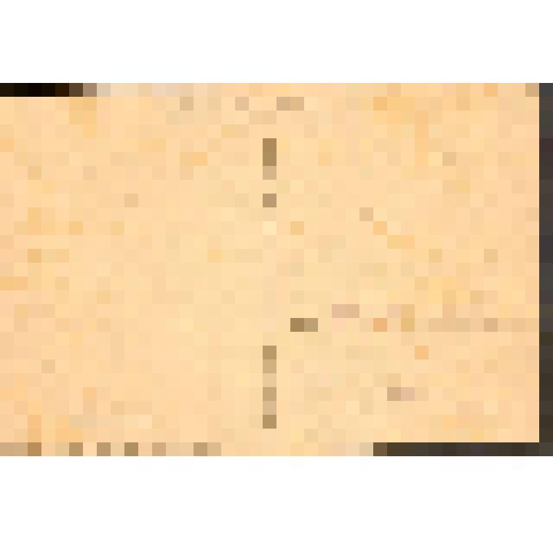 Открытка. Виссарион Григорьевич Белинский. 1848 - 1948