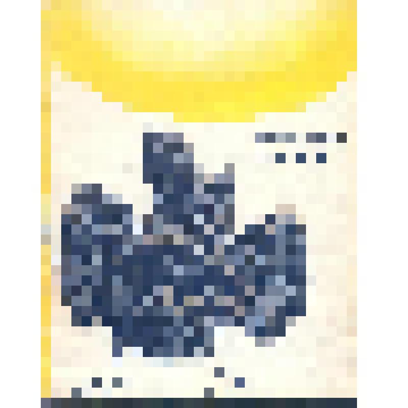 Книга. Пират. - Иркутск: Восточно-Сибирское книжное изд-во, 1968