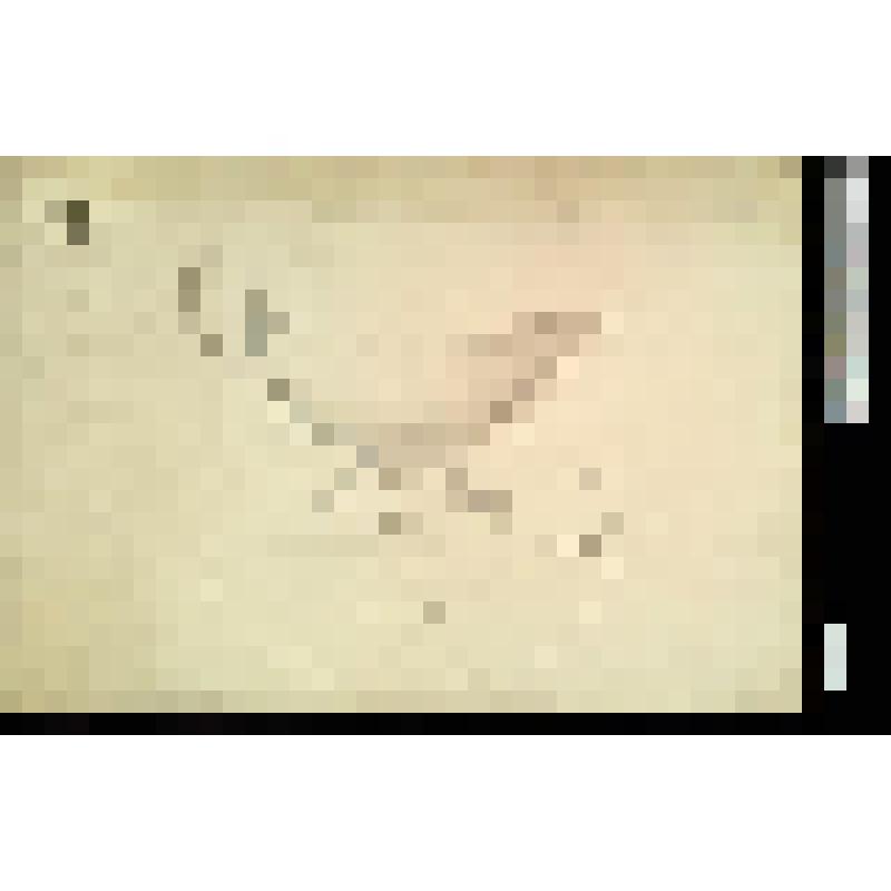 Эскиз формы соусника с поддоном