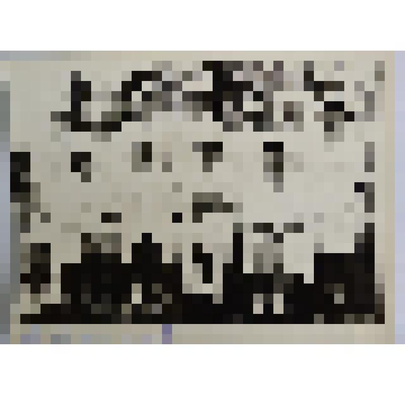 Фотография. Коллектив работников родильного отделения Килемарской Центральной районной больницы