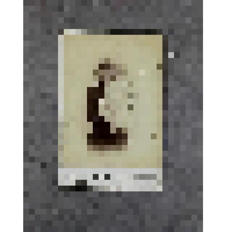 Фотография (групповая). Лесков Ярослав Андреевич (сын А.Н.Лескова, внук Н.С.Лескова) с няней Марией Алексеевной Заборовской