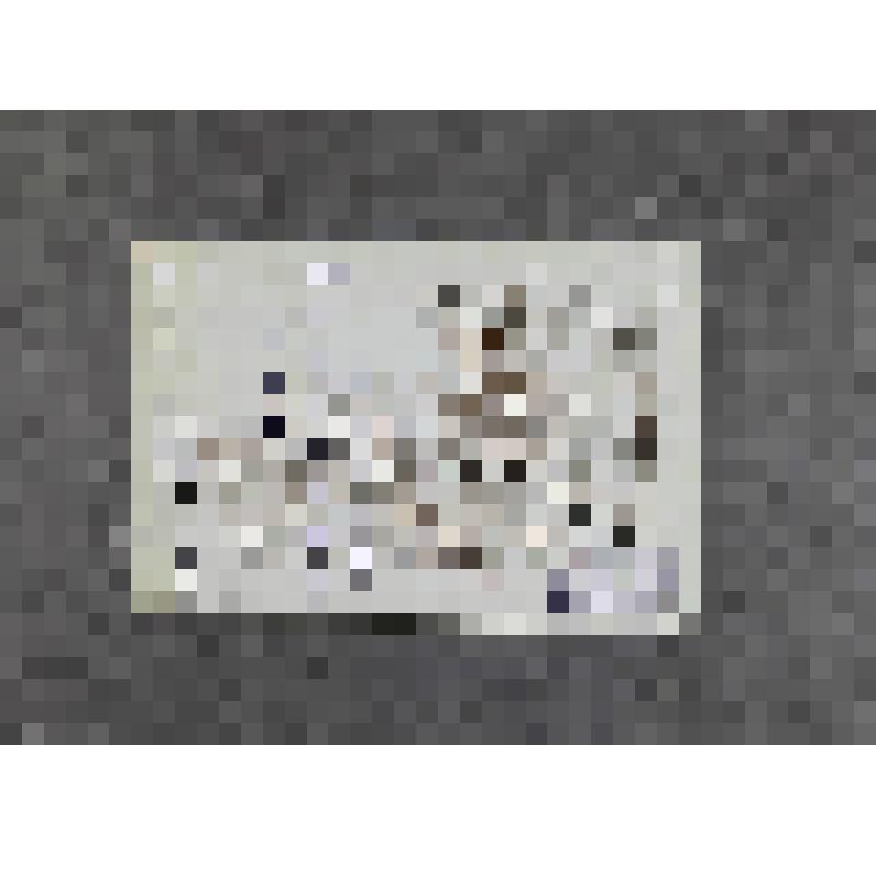 Фотография (групповая). Лесков Ярослав Андреевич (сын А.Н.Лескова, внук Н.С.Лескова) с няней Марией Алексеевной Заборовской