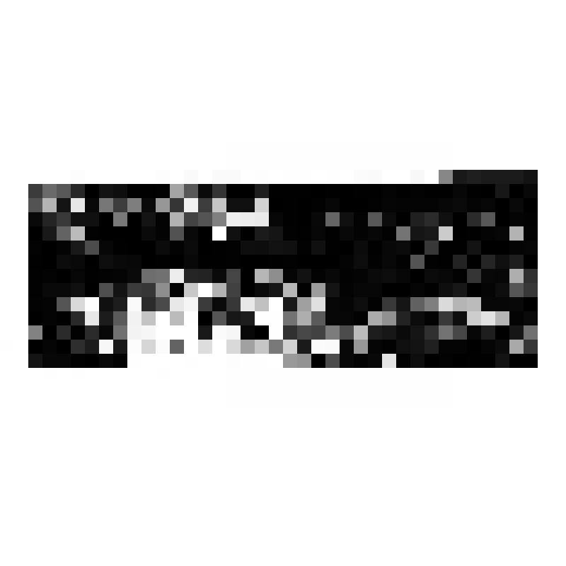 Фотография. А.Я. Таиров - идет, рост, фас, руки согнуты, в правой - трость, на руке висит пальто; Н. Румнев - идет, рост, фас, голова - 3/4 влево, руки заложены за спину, в кепке