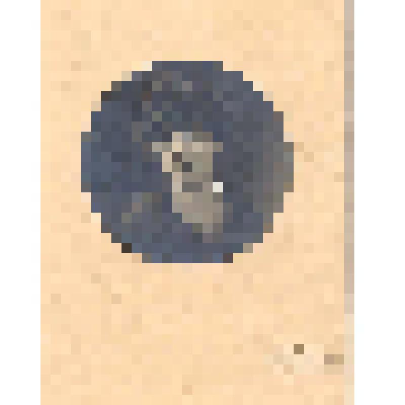 Портрет молодой женщины