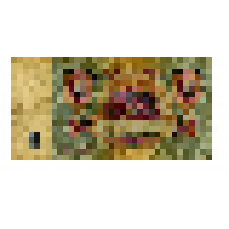 Государственный казначейский билет