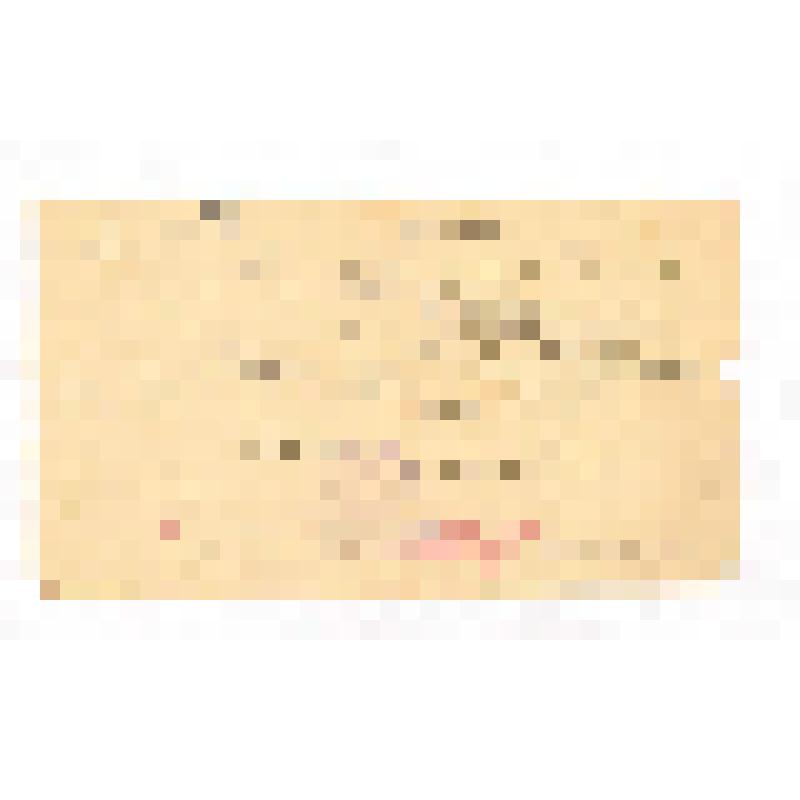 Справка капитану П.А. Медведеву