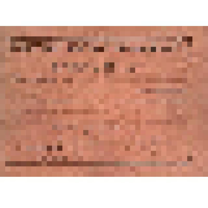 Документ. Делегатский билет № 117 Сазонова Алексея Васильевича, делегата от Тамбовского округа на Всероссийский съезд почтово-телеграфных служащих, стоящих на платформе "Вся власть Советам", с правом решающего голоса