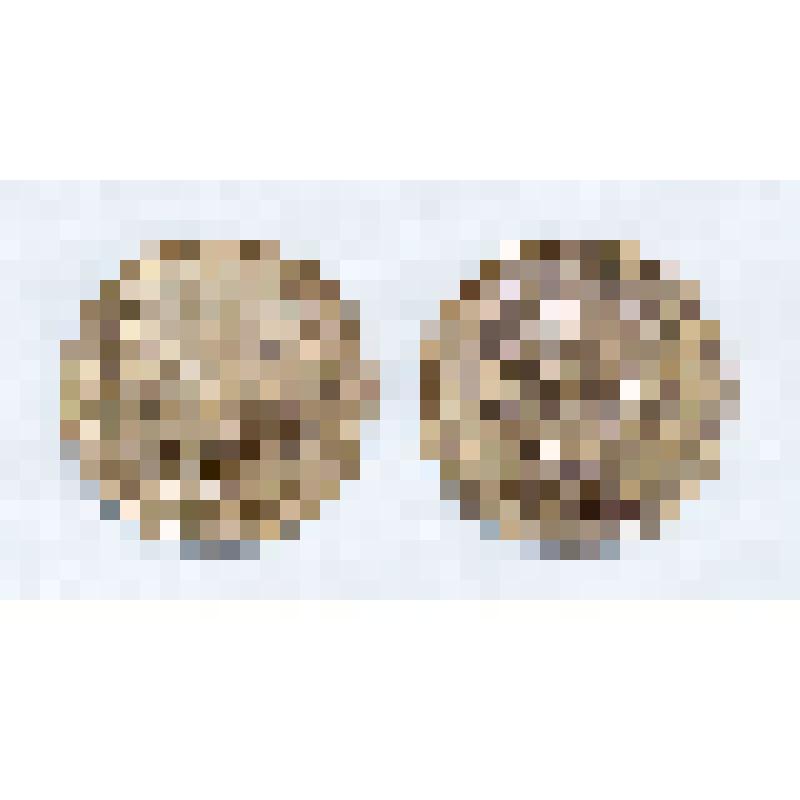 Монета номиналом 1 коп. 1980 г. СССР