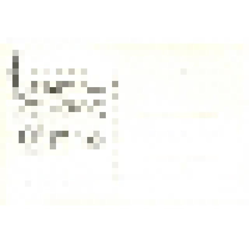 Набор почтовых открыток из 20 шт., ч/б