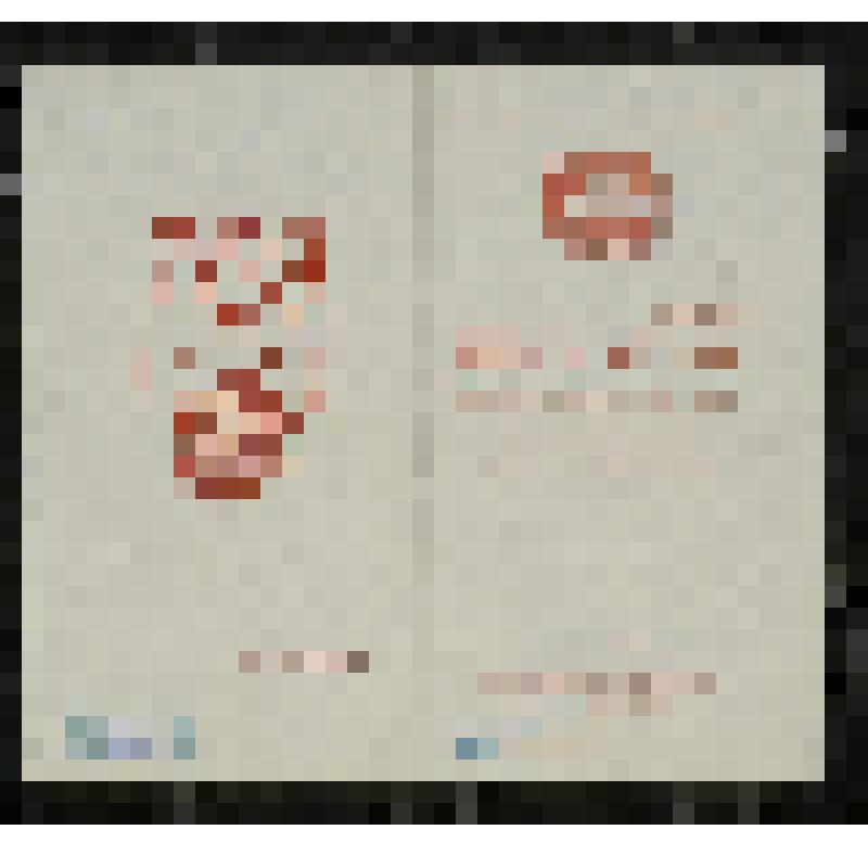 Программа. "Датская история" (Режиссер - Мушперт Г. Художник - Рошко Л. Балетмейстер - Калошина Г.). Челябинск, Драматический театр для детей и молодежи