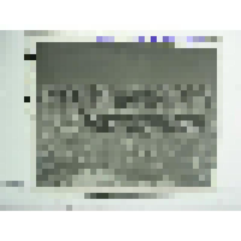 Жилые дома, втор.пол.ХХ в. Новосибирская  обл., г. Ногвосибирск. Жилые дома на ул.Челюскинцев, 1970-1980-е гг. Панорама (правая часть)