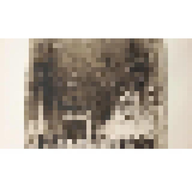 Архитектурная фантазия на тему терм Каракаллы. Интерьер