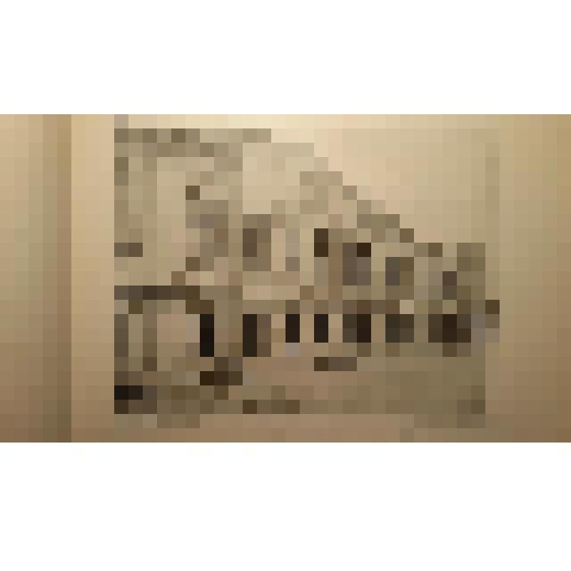Дом-особняк А.И.Коншиной. Ул. Пречистенка,,16/2. XVIII в. 1867, 1908-1910, 1930 гг. г. Москва. Ул. Пречистенка. Дом-особняк А.И.Коншиной. Альбом. Гунст Анатолий Оттович. Боковой фасад, декорированный лепниной. Фотогр. и худож. фотот. К.А. Фишер, Москва