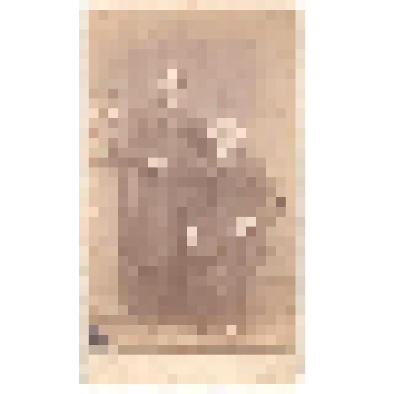 Двое мужчин: [Каширин В.В. с сыном Яковом]