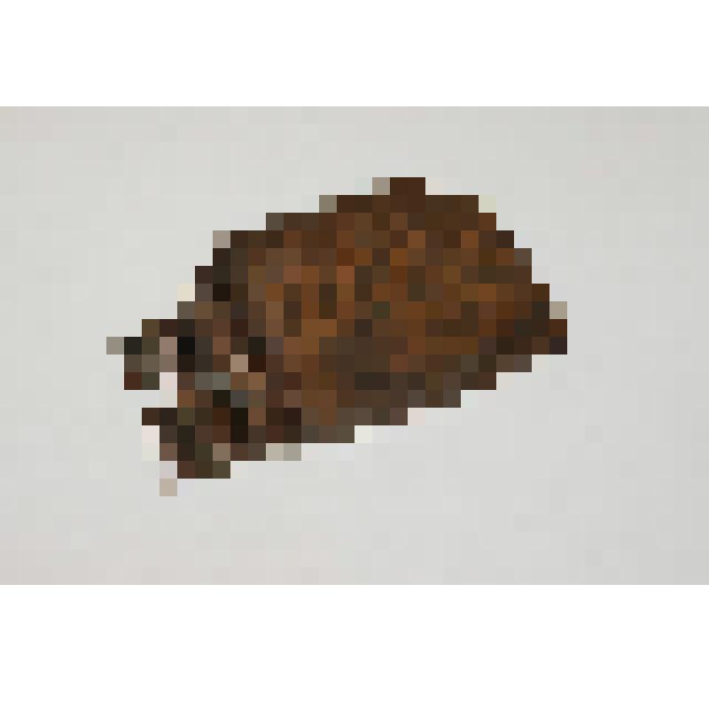 Гребень (фрагмент)