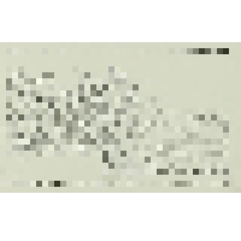 Лист № 75 из альбома "Доктор Фест", гравюра