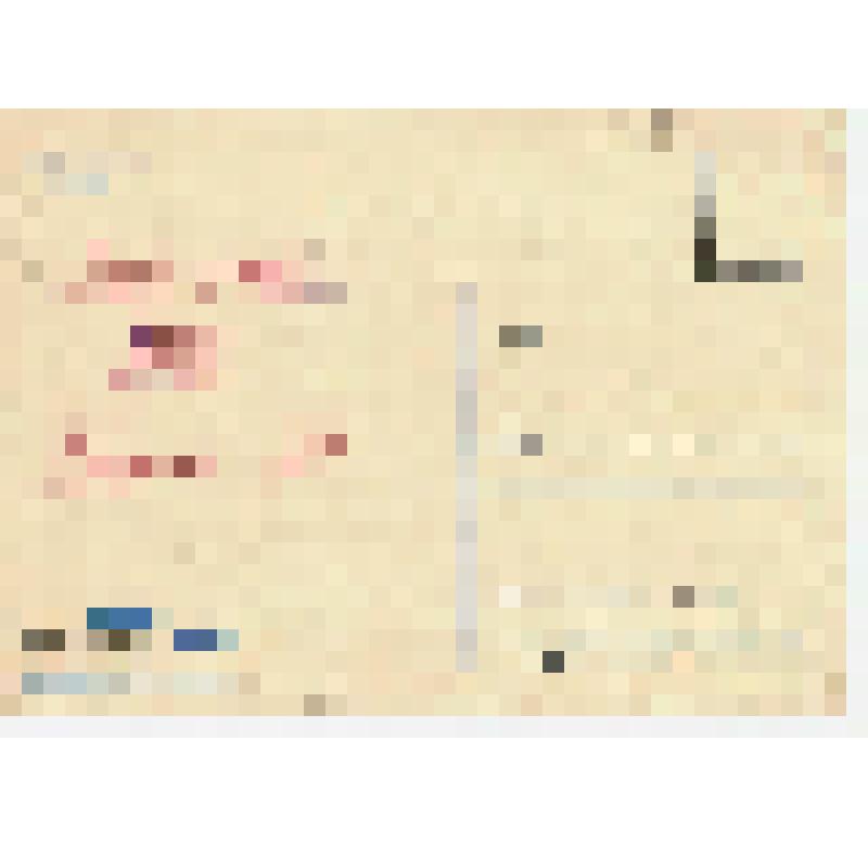 Открытка художественная немаркированная "Хризантемовидные георгины"