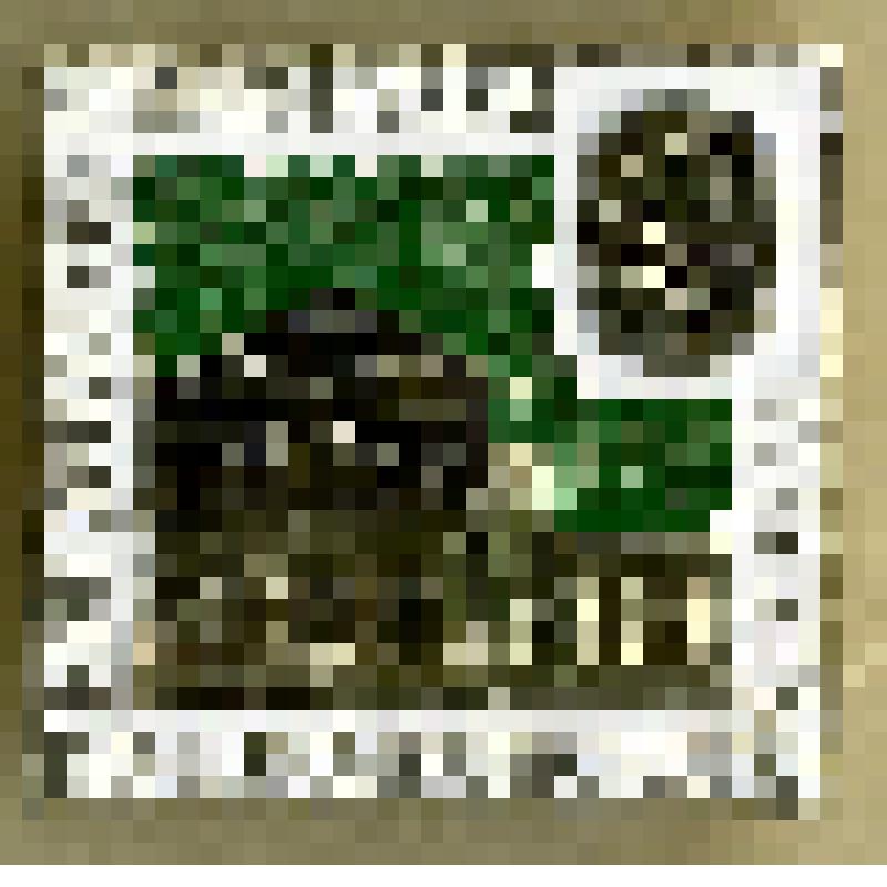 Значок "Мемориальный Дом-музей К.Э. Циолковского. Калуга-78"