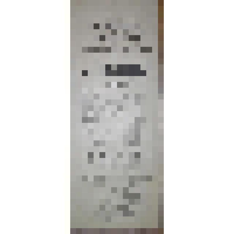 Программа с исполнителями. "Казнь" (Режиссер - П.М.Корсаков); "Голь на выдумки хитра или невеста без лифа и жених без фрака". Архангельск, Городской театр; Антреприза, Труппа русских драматических артистов