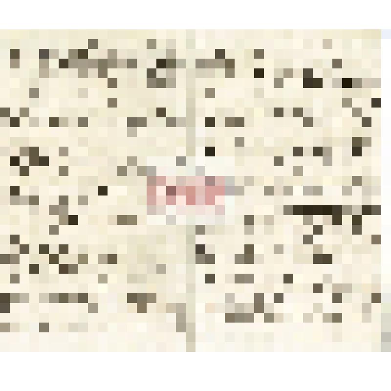 Письмо И. Т. Савенкова Н. М. Мартьянову с уведомлением об отправке материалов по исследованию солёных озёр Минусинского округа