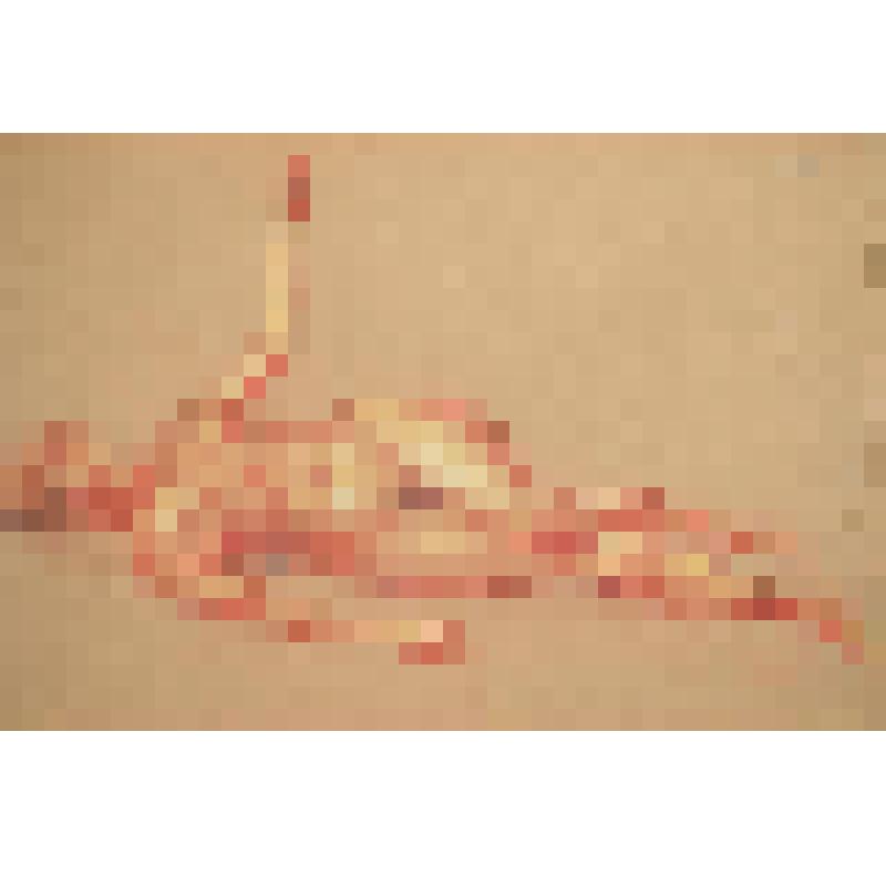 Лежащая обнаженная (розовая)