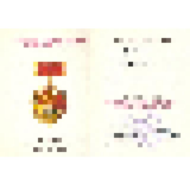 Удостоверение к знаку «Победитель социалистического соревнования 1979 года», врученному Корнилову Геннадию Назаровичу 26.12.1979 г