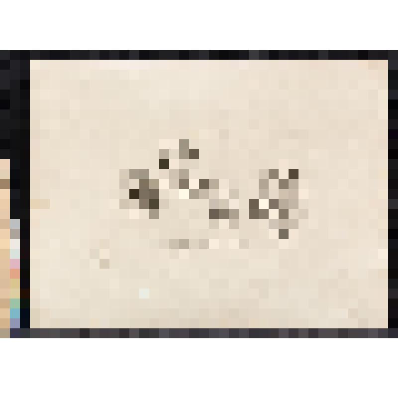 Наброски голов, из альбома «The Works of William Hogarth»