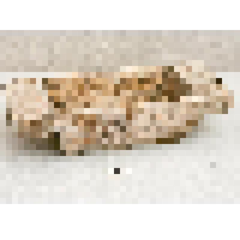 Корытце, для кормления скота