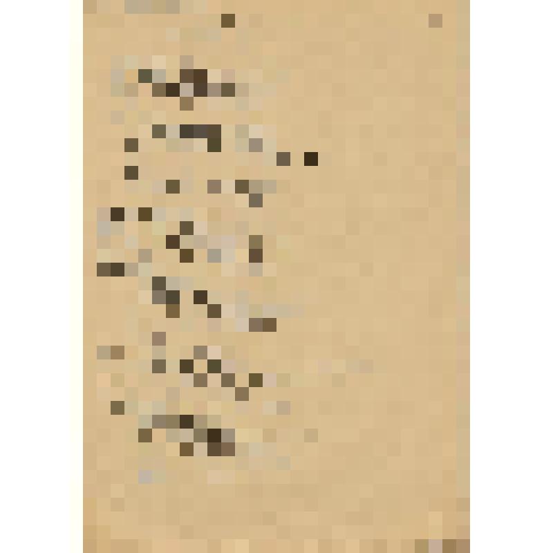 Литературная рукопись. Karahod