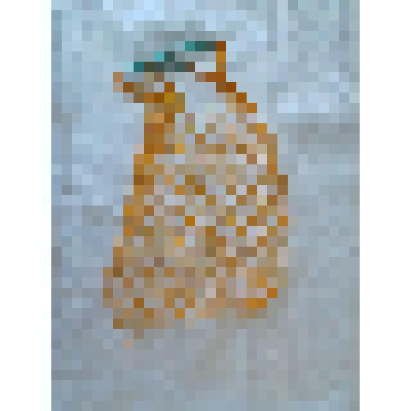 Сетчатая  сумка (авоська)