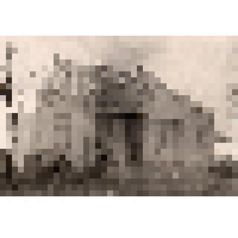 Фотография. Здание рентген кабинета. На фото фасад здания белого цвета, на котором написано «Рентген кабинет 1958 г.»