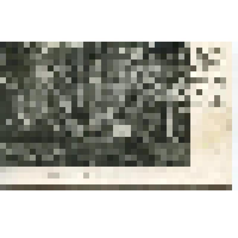 ОткрыткаРепродукция с фотографии. Могила Л.Н.Толстого. Фото В.Г.Черткова. 1911г