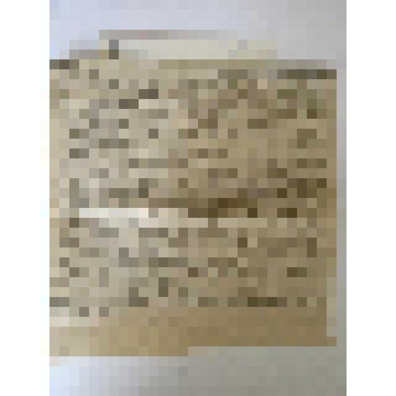 Рецензия на постановку "Крейцеровой сонаты" в Париже