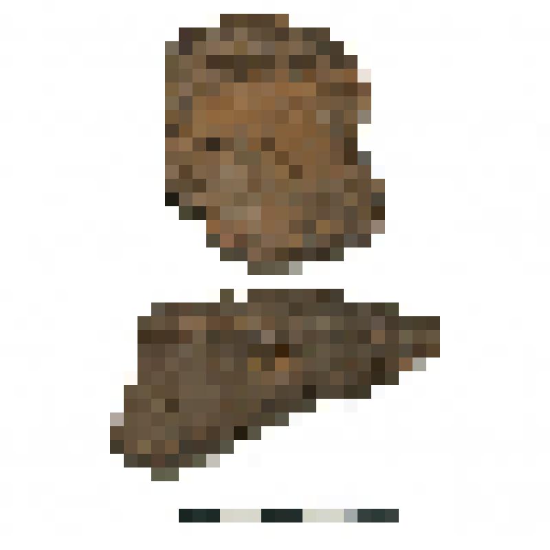 Сосуд. Фрагменты венчиков. Памятник Торопово-7