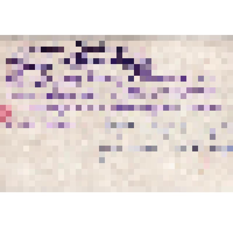 Фото: «Студенты Литературного института имени М. Горького Хаджи-Мурат – азербайджанский поэт и Лазарь Кокышев – алтайский поэт»